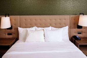 Hilton Birmingham Downtown at UAB客房内的一张或多张床位