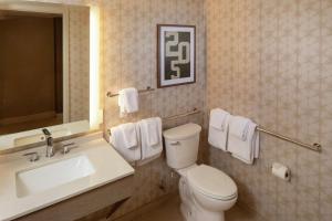 Hilton Birmingham Downtown at UAB的一间浴室