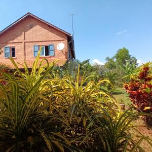 een huis met een bos planten ervoor bij Villa Floralia in Talata-maty