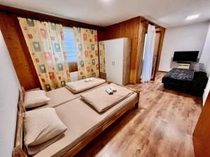 a bedroom with a large bed and a television at Kuća za odmor Bilić in Sopot