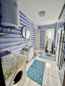 a blue bathroom with a washing machine in it at Kuća za odmor Bilić 