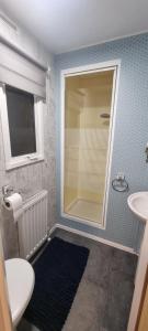 a bathroom with a shower and a sink and a mirror at ML66 8 BERTH CARAVAN GOLDEN PALM CHAPEL ST LEONARDS in Chapel Saint Leonards +14 photos