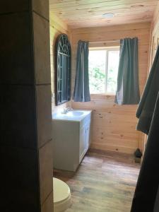 ein Bad mit einer Badewanne, einem WC und einem Fenster in der Unterkunft Crestview-Spectacular 3 bed 3 bath 5 min to slopes in Banner Elk