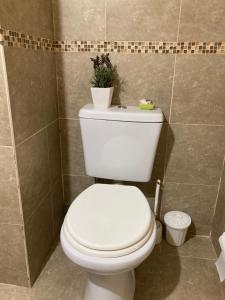 a bathroom with a toilet with a plant on top of it at Portales I in Santa Fe +3 photos