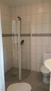 een badkamer met een douche en een toilet bij Hotel Dalhem in Dalhem