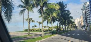 une rue bordée de palmiers dans l'établissement Lindo apto com piscina em Praia Grande - QX01H, à Solemar