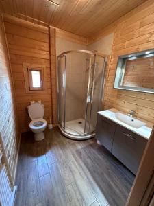 La salle de bains est pourvue d'une douche, de toilettes et d'un lavabo. dans l'établissement Oreeduloup Chalet Japp'loup 10/12 Pers., à Saint-Étienne-en-Dévoluy