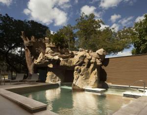 een zwembad met een rotsformatie in het midden bij Hilton Garden Inn Austin Downtown-Convention Center in Austin