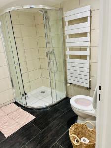 克雷泰伊的住宿－Appartement individuel situé à Créteil proche Henri Mondor，带淋浴和卫生间的浴室