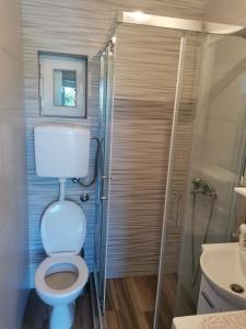 a bathroom with a toilet and a shower at Apartman M in Trebinje