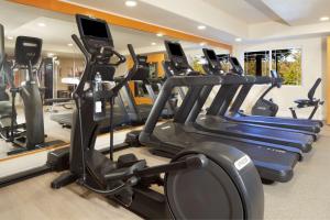 a gym with rows of treadmills and elliptical machines at Hilton Santa Cruz Scotts Valley in Santa Cruz