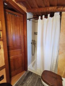 baño con ducha, aseo y puerta en Ático Pirón, en Adrada de Pirón