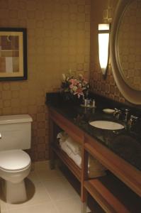 a bathroom with a sink and a toilet and a mirror at DoubleTree by Hilton Columbus/Worthington in Worthington