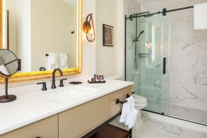 奥马哈The Peregrine Omaha Downtown Curio Collection By Hilton的带水槽和淋浴的浴室