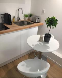a white kitchen with a plant on a white table at Studio Duquesne - Parc tête d'Or-métro Foch in Lyon