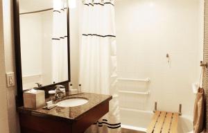 Ένα μπάνιο στο the Curtis Denver - A DoubleTree by Hilton Hotel