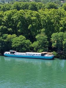 a blue boat in the middle of a river at Peniche Althea in Avignon