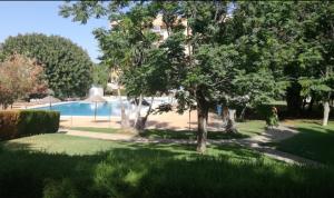 een tuin met een boom en een zwembad bij Iris in Benalmádena