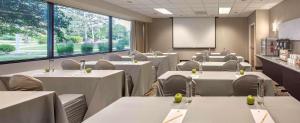DoubleTree by Hilton Chicago Schaumburg商务区和/或会议室