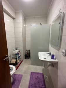 ein Badezimmer mit einem Waschbecken, einem WC und einem Spiegel in der Unterkunft Apartman Mančić in Pirot