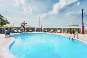 a large swimming pool with chairs and umbrellas at Hampton Inn Morehead City in Morehead City