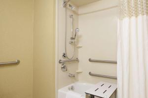 Koupelna v ubytování Hampton Inn & Suites Moline-Quad City Int'l Aprt