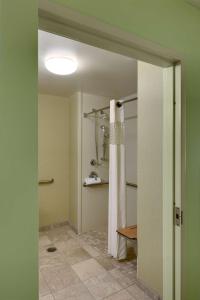 Koupelna v ubytování Hampton Inn & Suites Moline-Quad City Int'l Aprt
