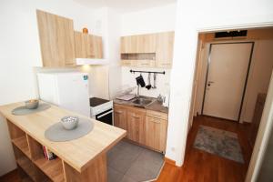 Kuchyň nebo kuchyňský kout v ubytování Bizmark accommodation A blok