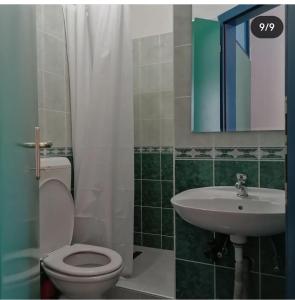 bagno con servizi igienici, lavandino e specchio di Apartmani Pasara a Baošići