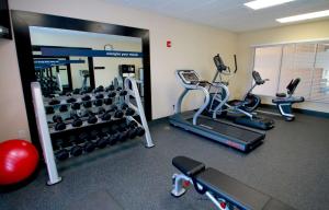 een fitnessruimte met loopbanden en crosstrainers in een kamer bij Hampton Inn- Suffolk in Suffolk