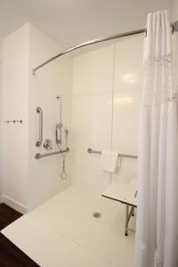 een badkamer met een douche en een douchegordijn bij Hampton Inn- Suffolk in Suffolk