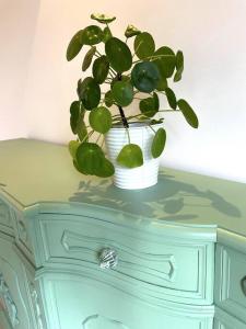 een groene plant in een witte vaas op een dressoir bij Appartamento Ginepro in Pian dei Pradi