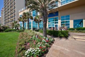 a palm tree and flowers in front of a building at Hilton Garden Inn Virginia Beach Oceanfront in Virginia Beach