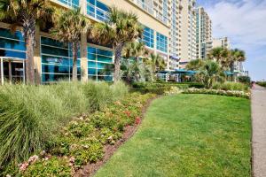 einen Garten vor einem Gebäude mit Palmen und Blumen in der Unterkunft Hilton Garden Inn Virginia Beach Oceanfront in Virginia Beach