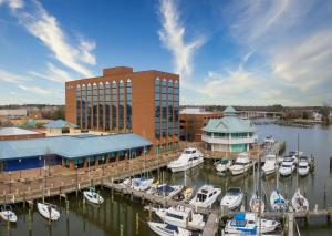 een groep boten aangemeerd in een jachthaven bij The Landing at Hampton Marina, Tapestry Collection by Hilton in Hampton