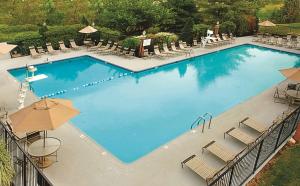 a large blue swimming pool with chairs and umbrellas at DoubleTree by Hilton Hotel Annapolis in Annapolis