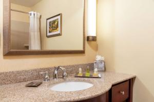 DoubleTree by Hilton Hotel Grand Rapids Airport的一间浴室