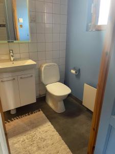 a bathroom with a toilet and a sink at Fjällstuga Huså in Åre
