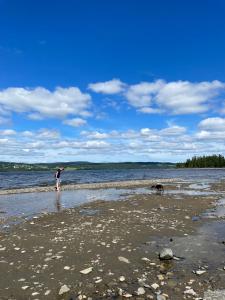 a person standing on a beach with a dog at Fjällstuga Huså in Åre