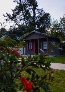 una pequeña casa con adornos rojos en un patio en Brotseulebi, en Ambrolauri