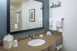 Koupelna v ubytování Hilton Garden Inn DFW North Grapevine