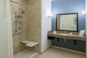 Koupelna v ubytování Hilton Garden Inn DFW North Grapevine