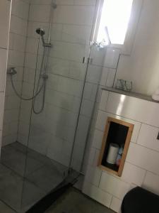een badkamer met een douche en een glazen deur bij Mamas Cabin in Laag-Soeren