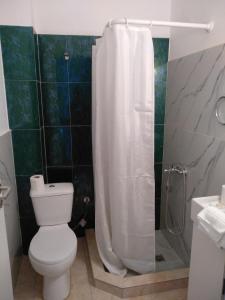 een badkamer met een toilet en een douchegordijn bij Mare e Monti2 in Agios Konstantinos Fthiotida