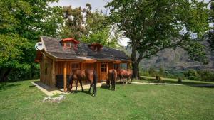 Peisaj natural din apropierea acestei cabane