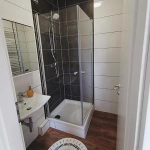 La salle de bains est pourvue d'une douche et d'un lavabo. dans l'établissement CASA PINEAPPLE - ZENTRAL - SBAHN - NETFLIX - UNIQUE, à Mettingen