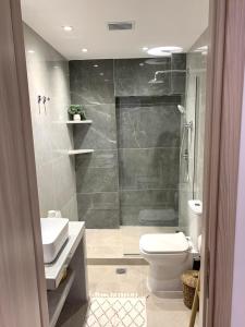 a bathroom with a shower and a toilet and a sink at Elena's by the sea maisonette in Zakynthos Town