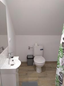 Baño blanco con aseo y lavamanos en Agroturystyka Zacisze nad Pilicą en Stromiec