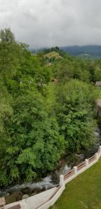 an aerial view of a river with trees at Pensiunea Casa Beatrice Bran in Bran