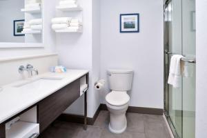 Hampton Inn Cedar Falls Downtown, Ia的一间浴室